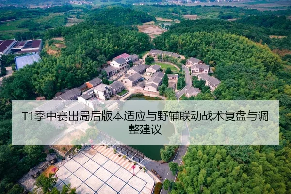 T1季中赛出局后版本适应与野辅联动战术复盘与调整建议