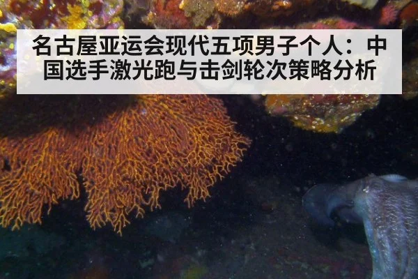 名古屋亚运会现代五项男子个人:中国选手激光跑与击剑轮次策略分析