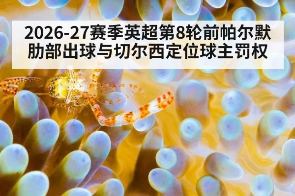 2026-27赛季英超第8轮前帕尔默肋部出球与切尔西定位球主罚权